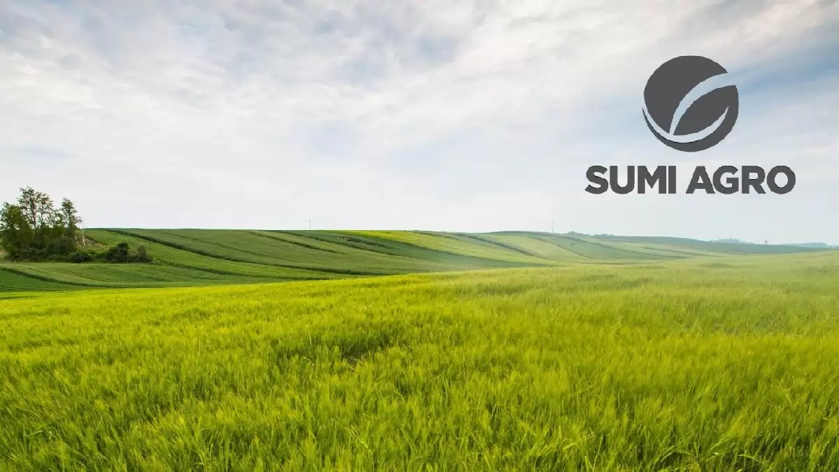 Jól bevált herbicidek őszi búzában, egy- és kétszikű gyomok őszi gyomirtására