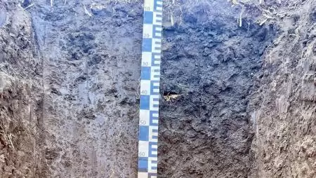 Biológiai alap + tápanyagmotor = élő talaj