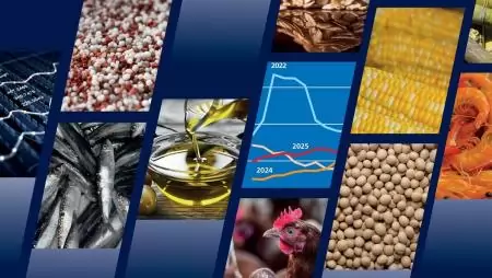 Az FAO élelmiszer-kilátásai a globális élelmiszer-termelés széles körű növekedését jelzik