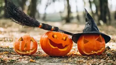 Nincs ötlete? – a MATE szakembere elmondja, hova kerüljön a töklámpás Halloween után