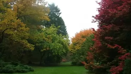 A Szarvasi Arborétum bekerült a Magyar Értéktárba