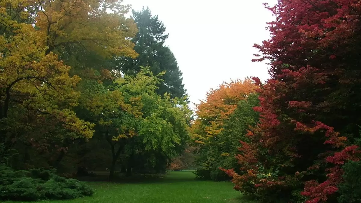 A Szarvasi Arborétum bekerült a Magyar Értéktárba