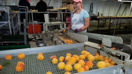 Továbbra is támogatja a kormány az élelmiszeripari fejlesztéseket