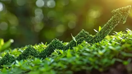 A MATE ismét előrelépett a QS fenntarthatósági világranglistán 