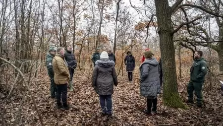 Jelentősen javul a mátrai élőhelyek állapota