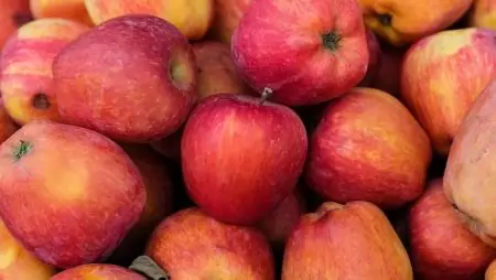 Jelentősen drágább lett az alma Magyarországon