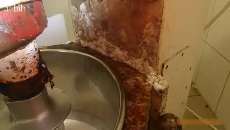 A Nébih felfüggesztette egy édességgyártó működését