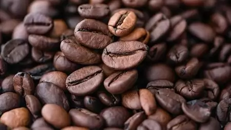 Az EU agrár-élelmiszeripari kereskedelme szeptemberben erősödött a többlet növekedésével