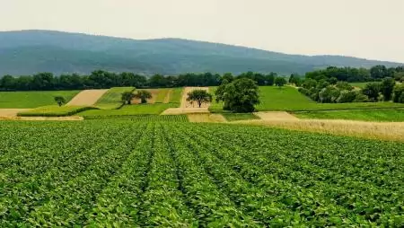 Mely EU régiók termelik a legtöbb mezőgazdasági terméket?