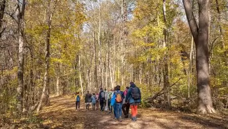 A Városierdő-fejlesztési Program következő állomása a II. kerület: kormányzati támogatással újul meg a Nyék-oldal erdeje