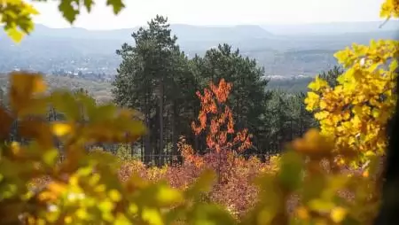 Karácsonyi ajándék az erdőjáróknak: elkészült a Budakeszi Vadaskert új tanösvénye