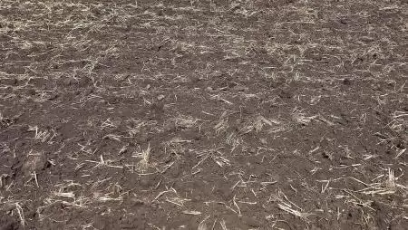 A talaj-előkészítés a végéhez közelít az őszi vetésű növényeknél