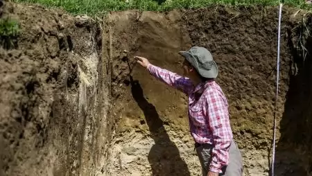 Élet a talajban: miért kulcsfontosságúak a talajkímélő művelési rendszerek?