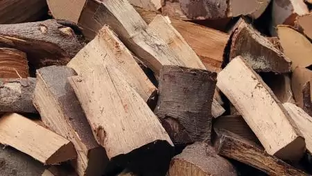 Újra megjelentek a tűzifacsalók