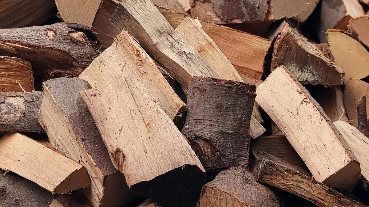 Újra megjelentek a tűzifacsalók