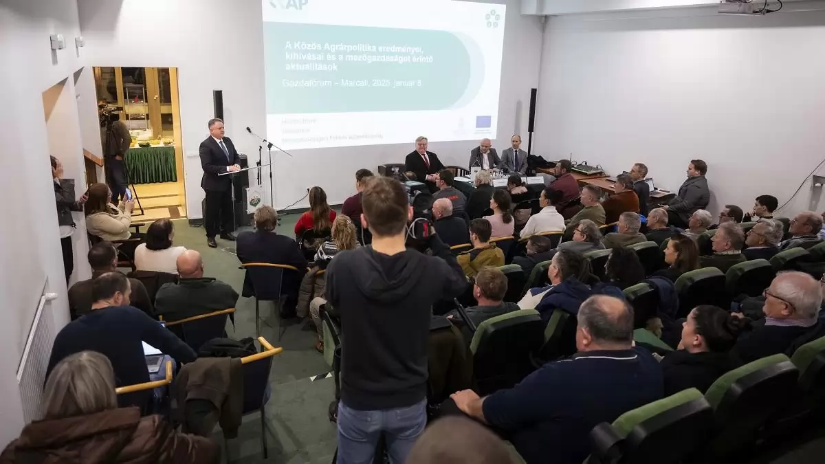 Célzott támogatásokkal segíti a kormány a szőlő- borágazatot