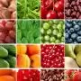 Az EU agrár-élelmiszeripari exportja stabil, az import kissé csökken