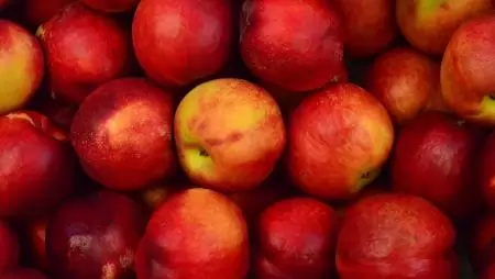 Drágább lett a citrom és az alma a hazai piacon