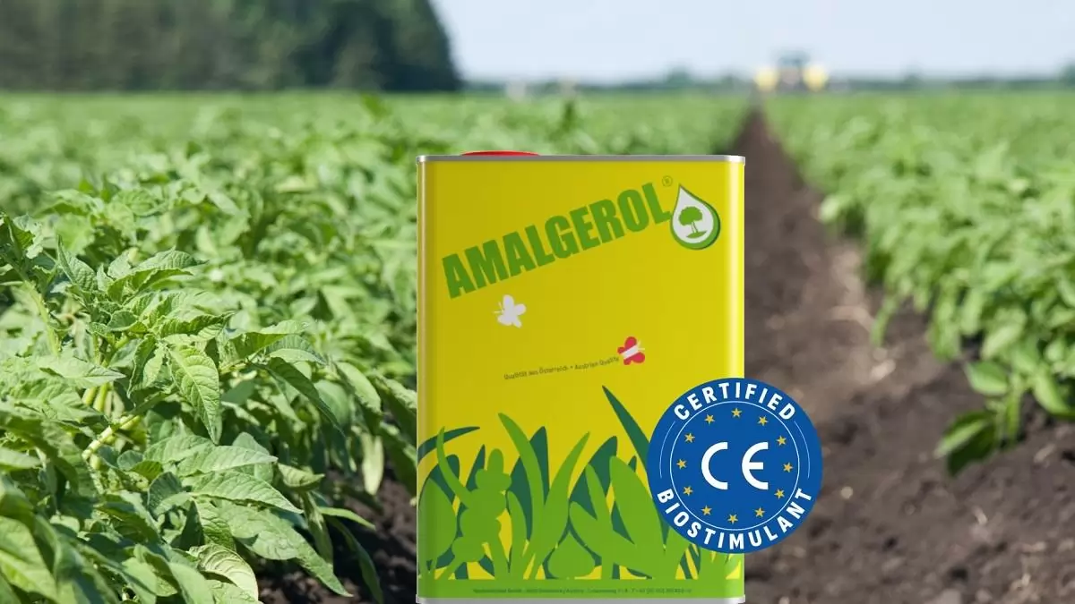 Amalgerol®, a biztos pont a növénytermesztésben