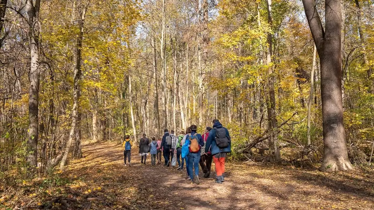 A Pilisi Parkerdő 2025-ös évének eredményei és idei céljai