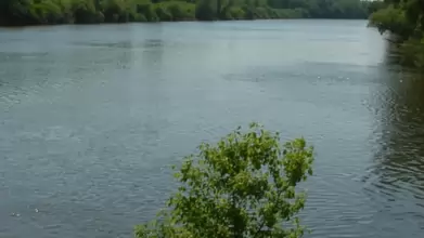 Biztonságos a Sajóból kifogott halak fogyasztása