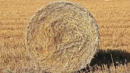 Gazdálkodói segítség az állatmenhelyeknek