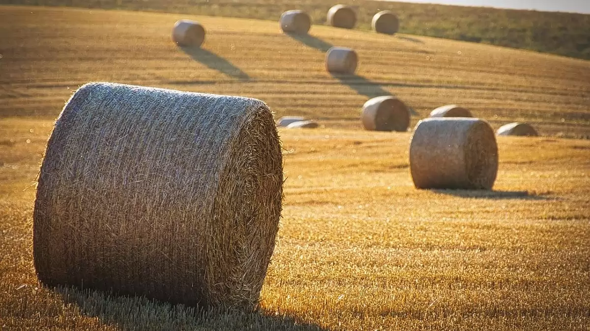  Több mint 2900 milliárd forint jutott el a gazdákhoz az új agrártámogatási ciklusban