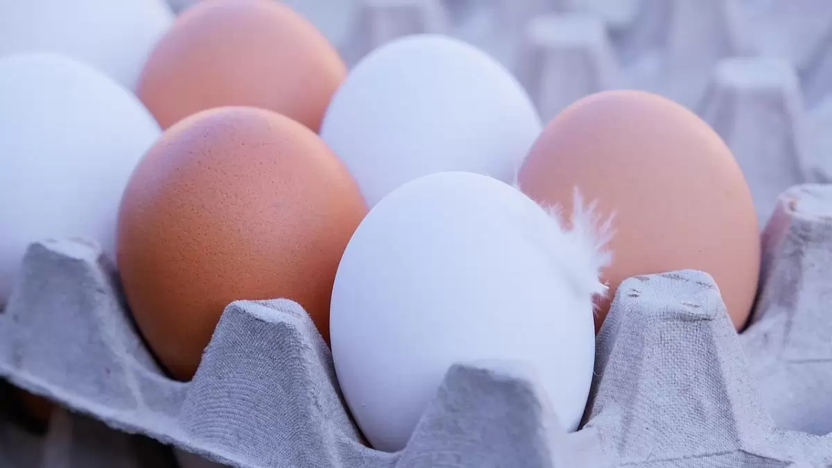 Megduplázódott a friss tojás kivitele 2025-ben