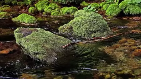 Vízjárta tájakért