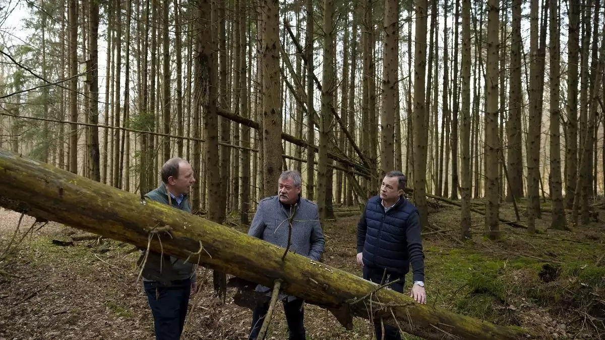 Nagyszabású fejlesztés révén fejlődik az erdők ökológiai állapota az Őrségi Nemzeti Park területén 