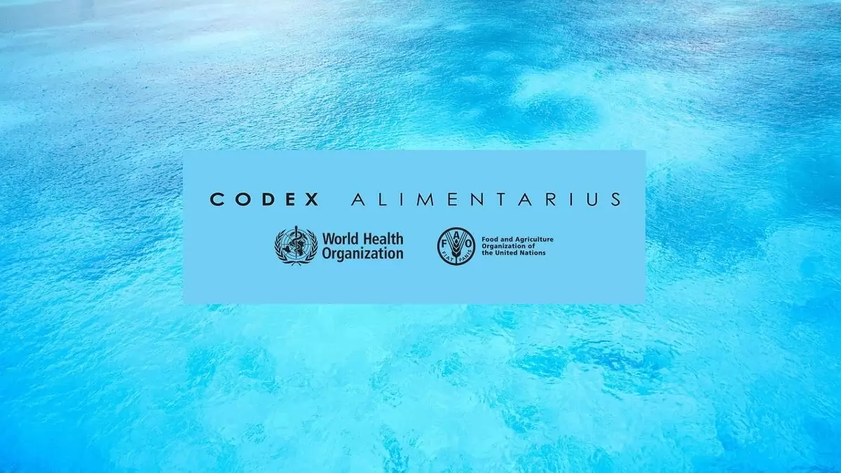 Folytatódik a szakmai munka a CCMAS budapesti ülésén