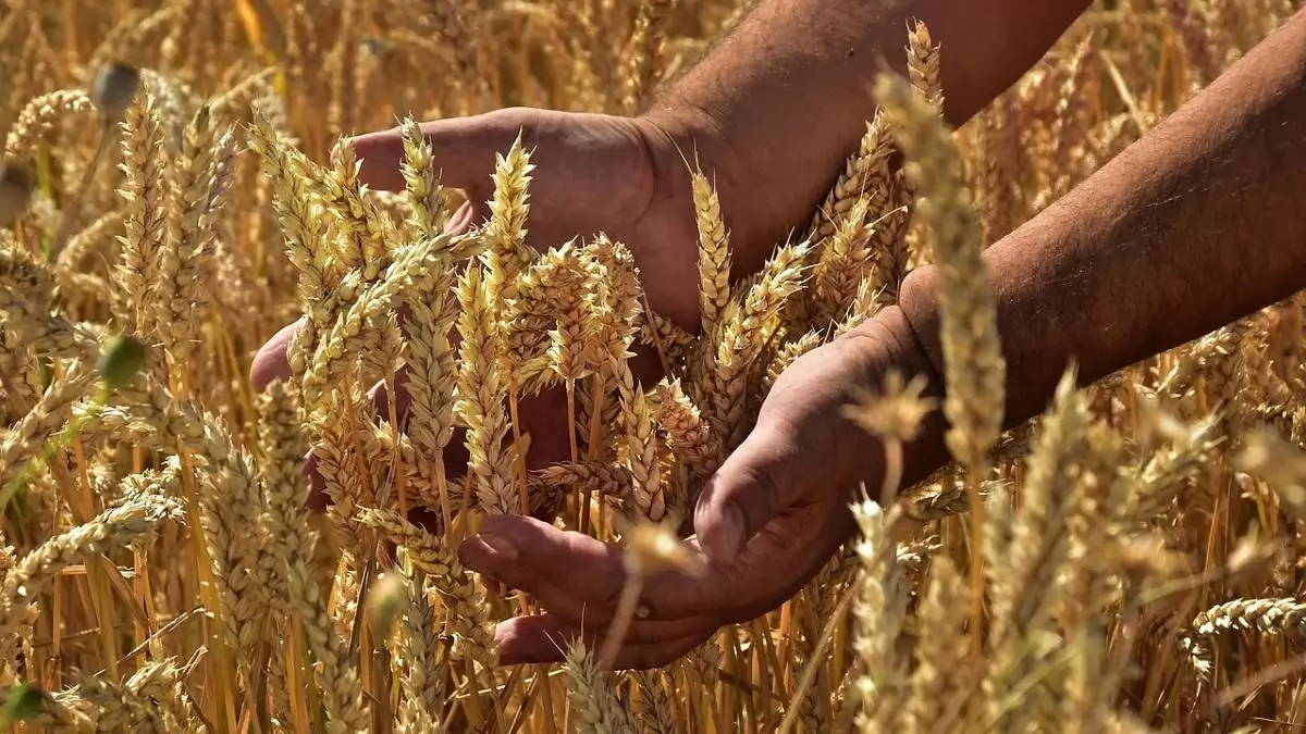 A kormány támogatja a mezőgazdaság generációs megújulását