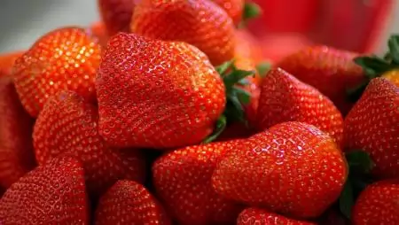 Jó hozamokkal és exportmennyiségekkel indult a görög szamócaszezon 