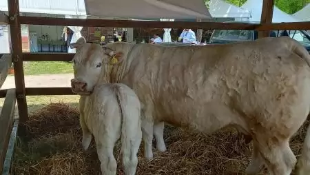 Változik az inszeminátorok nyilvántartása