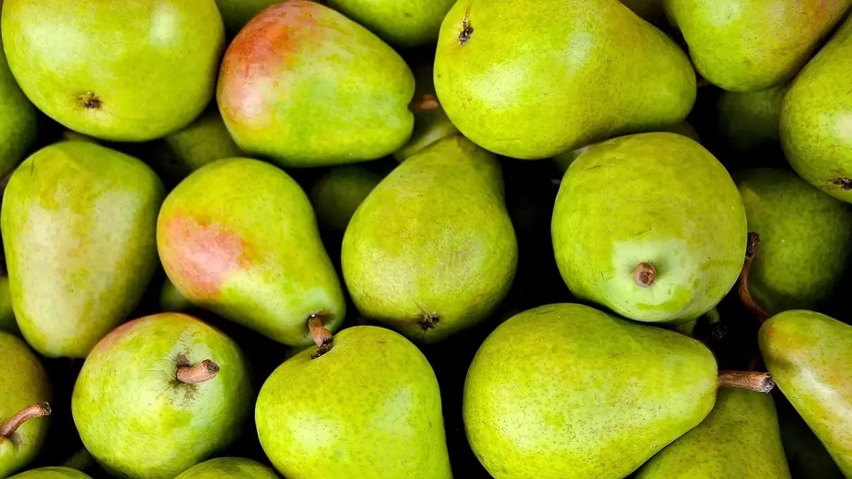 A belföldi és az import körte ára is emelkedett