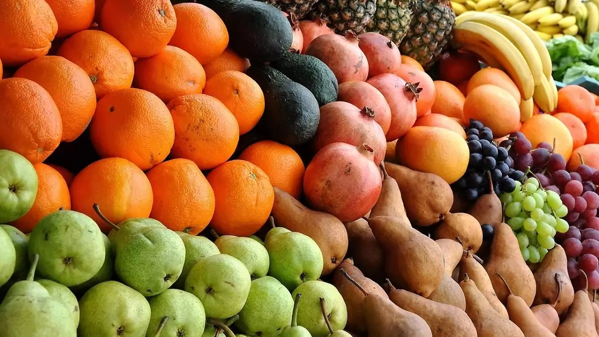 Az élelmiszerlánc főbb adatai – a mezőgazdaság hozzáadott értéke