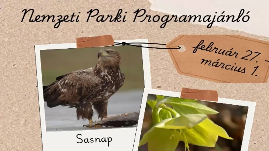 Nemzeti Park hétvégi programajánló február 27. - március 01.
