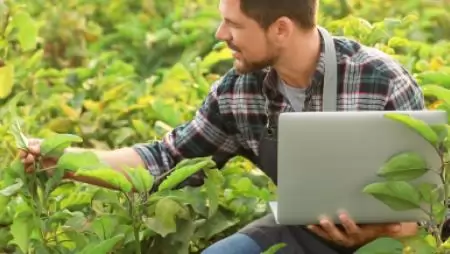 Hasznos tudnivalók a permetezési napló új adatmezőinek kitöltéséhez