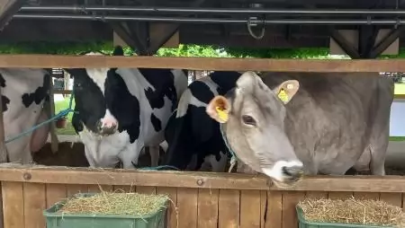 Az EU 2026-os állattenyésztési trendjei