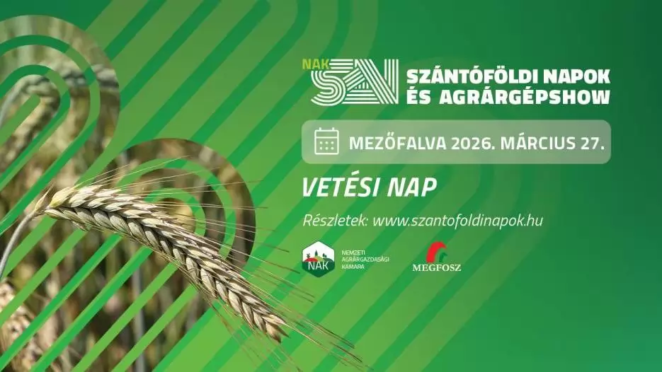 VETÉSI NAP