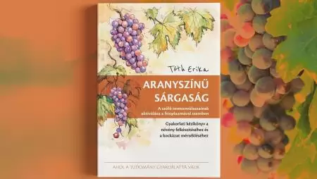 Új szakmai kézikönyv segíti a szőlő aranyszínű sárgaságának megelőzését