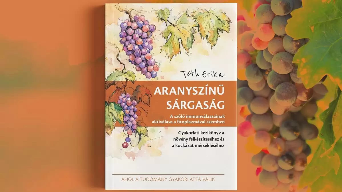 Új szakmai kézikönyv segíti a szőlő aranyszínű sárgaságának megelőzését