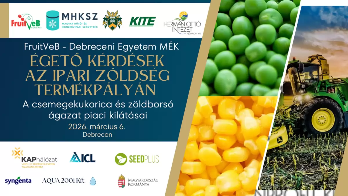 Égető kérdések az ipari zöldség termékpályán: a csemegekukorica és zöldborsó ágazat piaci kilátásai