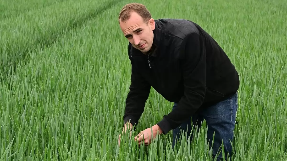 „A technológia működik, ha ismered a növényeidet” – beszélgetés Göcző Gábor növényorvossal, a Kapos-Agro Profit Bt. szakemberével