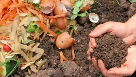 Zero Waste világnap: Nem a nullára kell törekedni, már harmadával kevesebb élelmiszerhulladék is óriási lépés