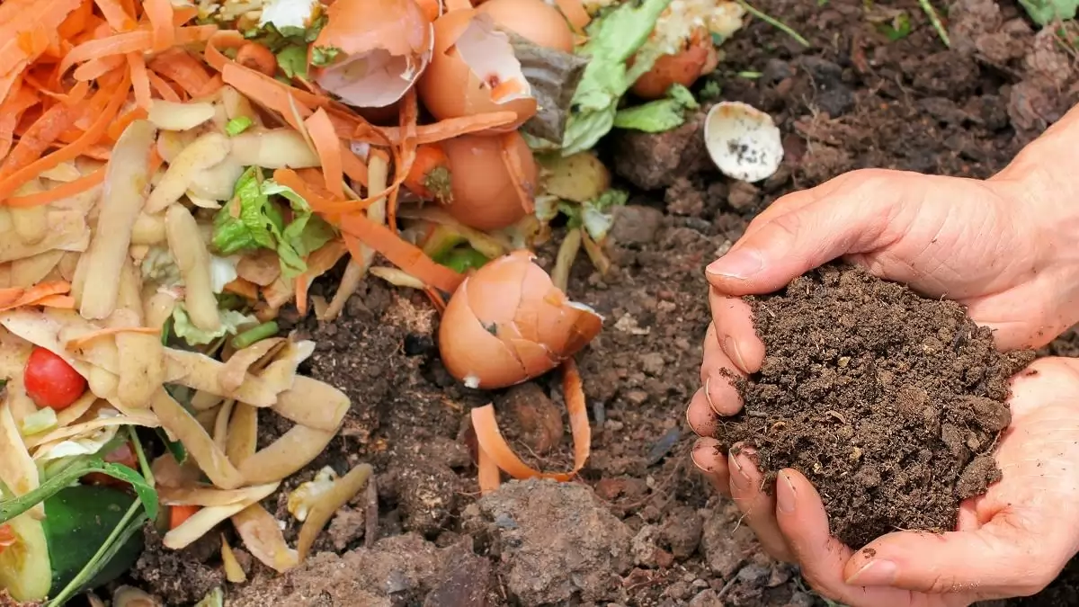 Zero Waste világnap: Nem a nullára kell törekedni, már harmadával kevesebb élelmiszerhulladék is óriási lépés