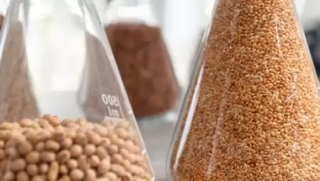 Nemzetközi vetőmag-mintavételi workshop: 15 országból érkeznek szakemberek Magyarországra