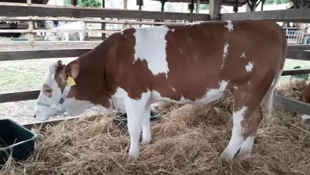 Fontos határidő: március 31-ig teljesítendő az éves nitrát adatszolgáltatás