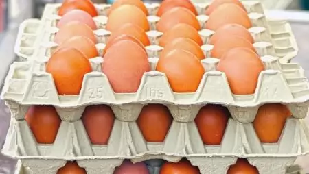 Több mint ezermilliárd forinttal támogatta a kormány az élelmiszeripari fejlesztéseket