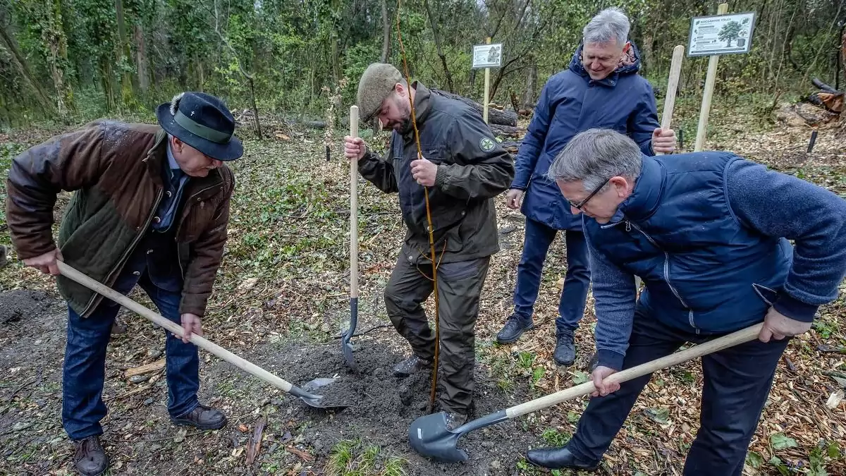 Összefogással teremtünk fenntartható városi erdőket